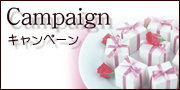 キャンペーン_Campaign